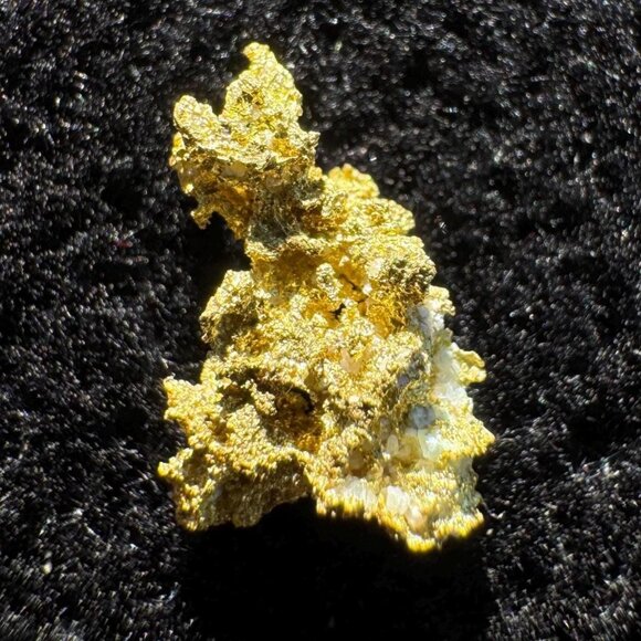 California Native Gold Crystal -  0.26 grams - Picture 1 of 4
